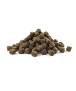 VERSELE-LAGA Opti Life Adult Skin Care Medium & Maxi - 12,5 Kg -Pet Care Verkoop 1002x1200