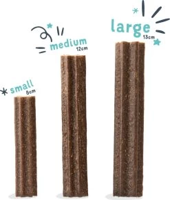 Edgard & Cooper Doggy Dental Sticks Appel - Eucalyptusolie Medium -Pet Care Verkoop 1023x1200