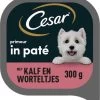 Cesar Primeur Paté Honden Natvoer - Kalf & Worteltjes - 10 X 300 Gr