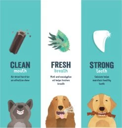 Edgard & Cooper Doggy Dental Sticks Appel - Eucalyptusolie Medium -Pet Care Verkoop 1146x1200 5