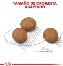 Royal Canin Maxi Puppy 4 KG -Pet Care Verkoop 1151x1200 4