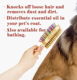 Betty's Dog Brush - Hondenborstel - Voor Elke Vacht Geschikt - Voor Glanzende Vacht - Ontklit En Verzorgt De Vacht -Pet Care Verkoop 1156x1200