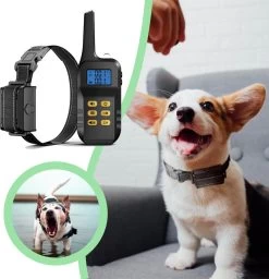 Anti Blafband Met Afstandsbediening - Blafband Voor Honden - Anti Blaf Apparaat Zonder Schok - Twee In Een Trainingshalsband -Pet Care Verkoop 1156x1200 6