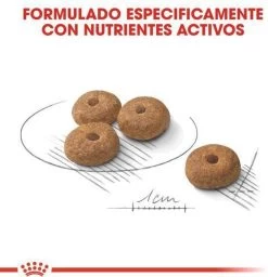 Royal Canin Mini Sterilised 8 KG -Pet Care Verkoop 1158x1200 6