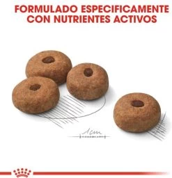 Royal Canin Sterilised Maxi - Hondenvoer - 12 Kg 19 Royal Canin Sterilised Maxi - Hondenvoer - 12 Kg -Pet Care Verkoop 1158x1200 8