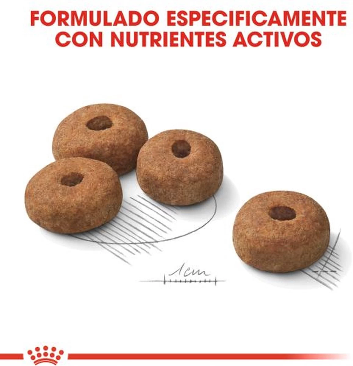 Royal Canin Sterilised Maxi - Hondenvoer - 12 Kg 8 Royal Canin Sterilised Maxi - Hondenvoer - 12 Kg - Afbeelding 8