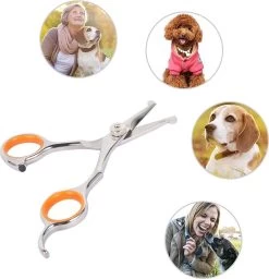 Merkloos Premium Gebogen Trimschaar Honden - Huisdier Trimmen - Hoofd, Poten Ogen & Oren - Kat & Hond Knippen - Veilige Schaar 14 Merkloos Premium Gebogen Trimschaar Honden - Huisdier Trimmen - Hoofd, Poten Ogen & Oren - Kat & Hond Knippen - Veilige Schaar -Pet Care Verkoop 1159x1200 1
