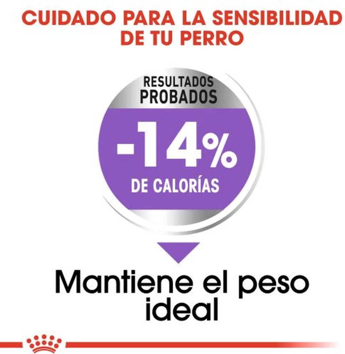 Royal Canin Sterilised Maxi - Hondenvoer - 12 Kg 6 Royal Canin Sterilised Maxi - Hondenvoer - 12 Kg - Afbeelding 6