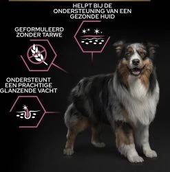 Pro Plan Medium Adult Sensitive Skin - Honden Droogvoer - Zalm - 14 Kg 28 Pro Plan Medium Adult Sensitive Skin - Honden Droogvoer - Zalm - 14 Kg -Pet Care Verkoop 1181x1200 9