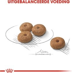 Royal Canin Mini Sterilised 8 KG -Pet Care Verkoop 1183x1200 3