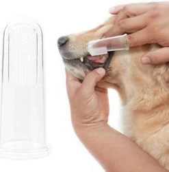 Professionele Hondentondeuse&hondentrimmer Voor Dikke Vacht -Pet Care Verkoop 1184x1200 1