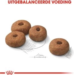 Royal Canin Sterilised Maxi - Hondenvoer - 12 Kg 14 Royal Canin Sterilised Maxi - Hondenvoer - 12 Kg -Pet Care Verkoop 1184x1200 2