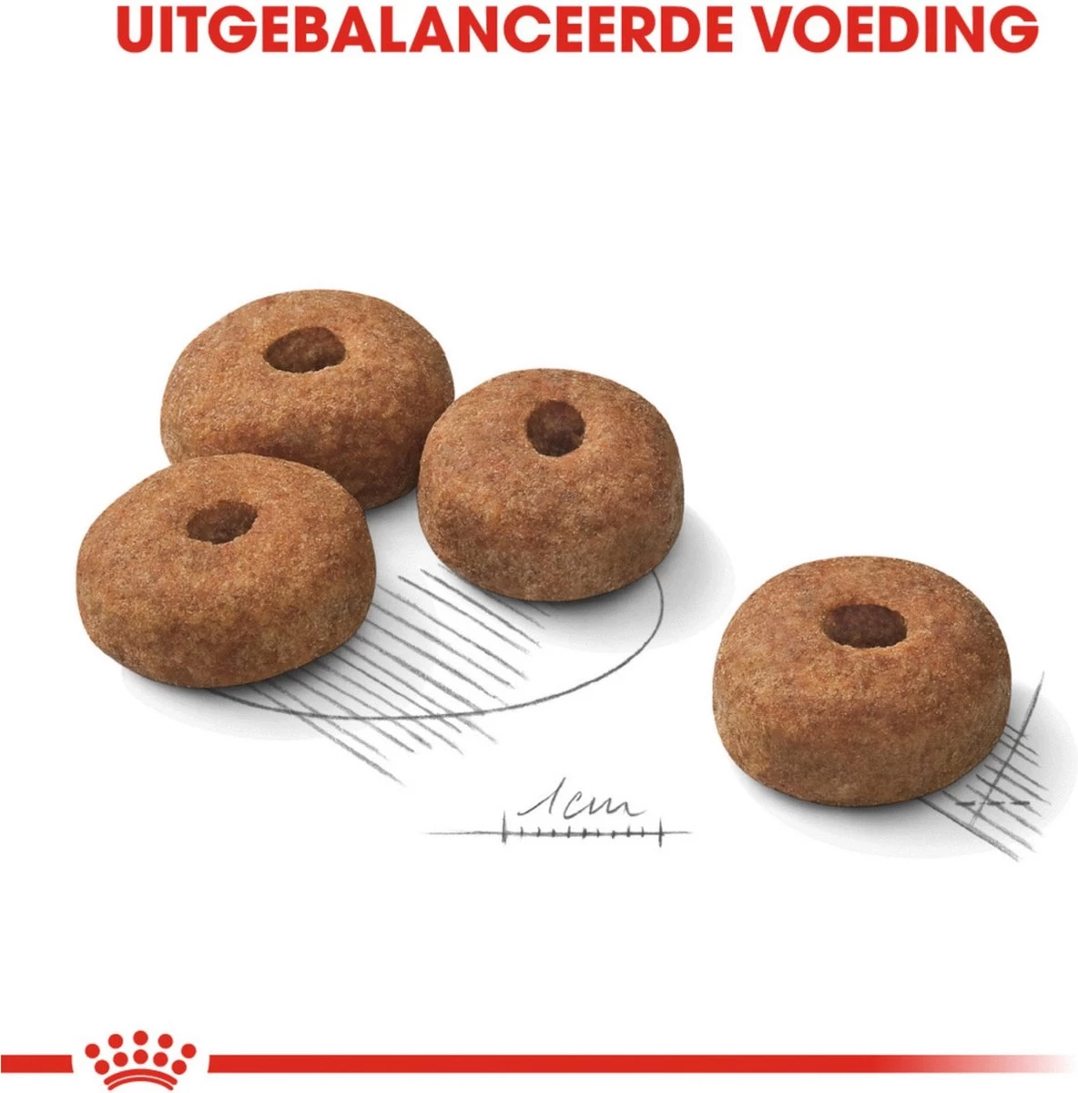 Royal Canin Sterilised Maxi - Hondenvoer - 12 Kg 3 Royal Canin Sterilised Maxi - Hondenvoer - 12 Kg - Afbeelding 3