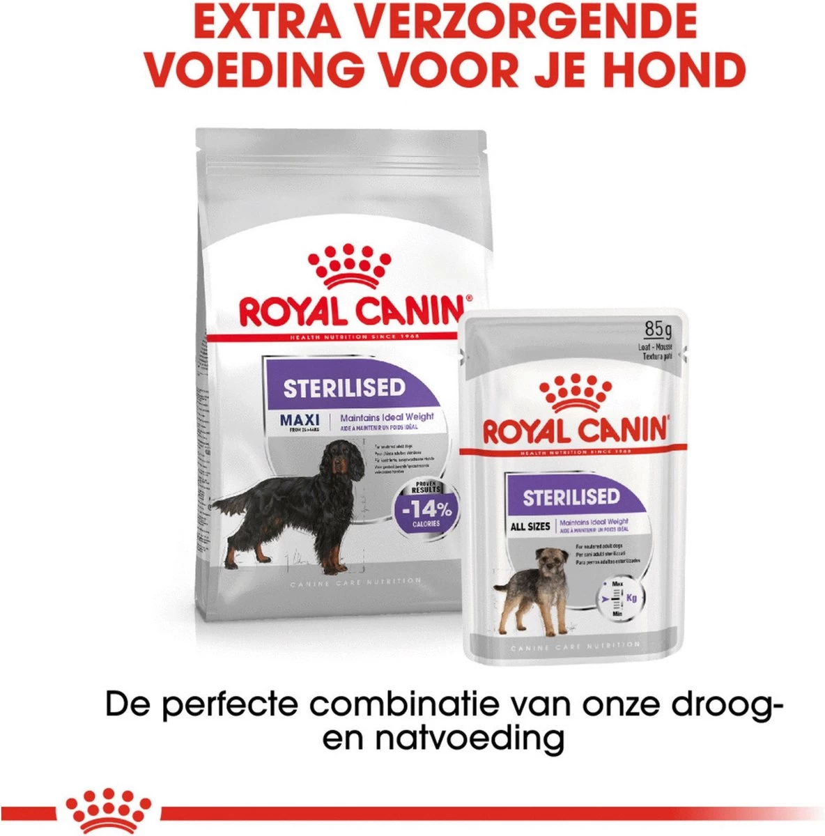 Royal Canin Sterilised Maxi - Hondenvoer - 12 Kg 11 Royal Canin Sterilised Maxi - Hondenvoer - 12 Kg - Afbeelding 11