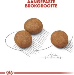 Royal Canin Maxi Puppy 4 KG -Pet Care Verkoop 1186x1200 2