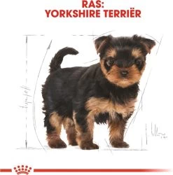 Royal Canin Yorkshire Terrier Junior 1.5 KG -Pet Care Verkoop 1186x1200 3