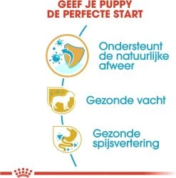 Royal Canin Yorkshire Terrier Junior 1.5 KG -Pet Care Verkoop 1186x1200 4