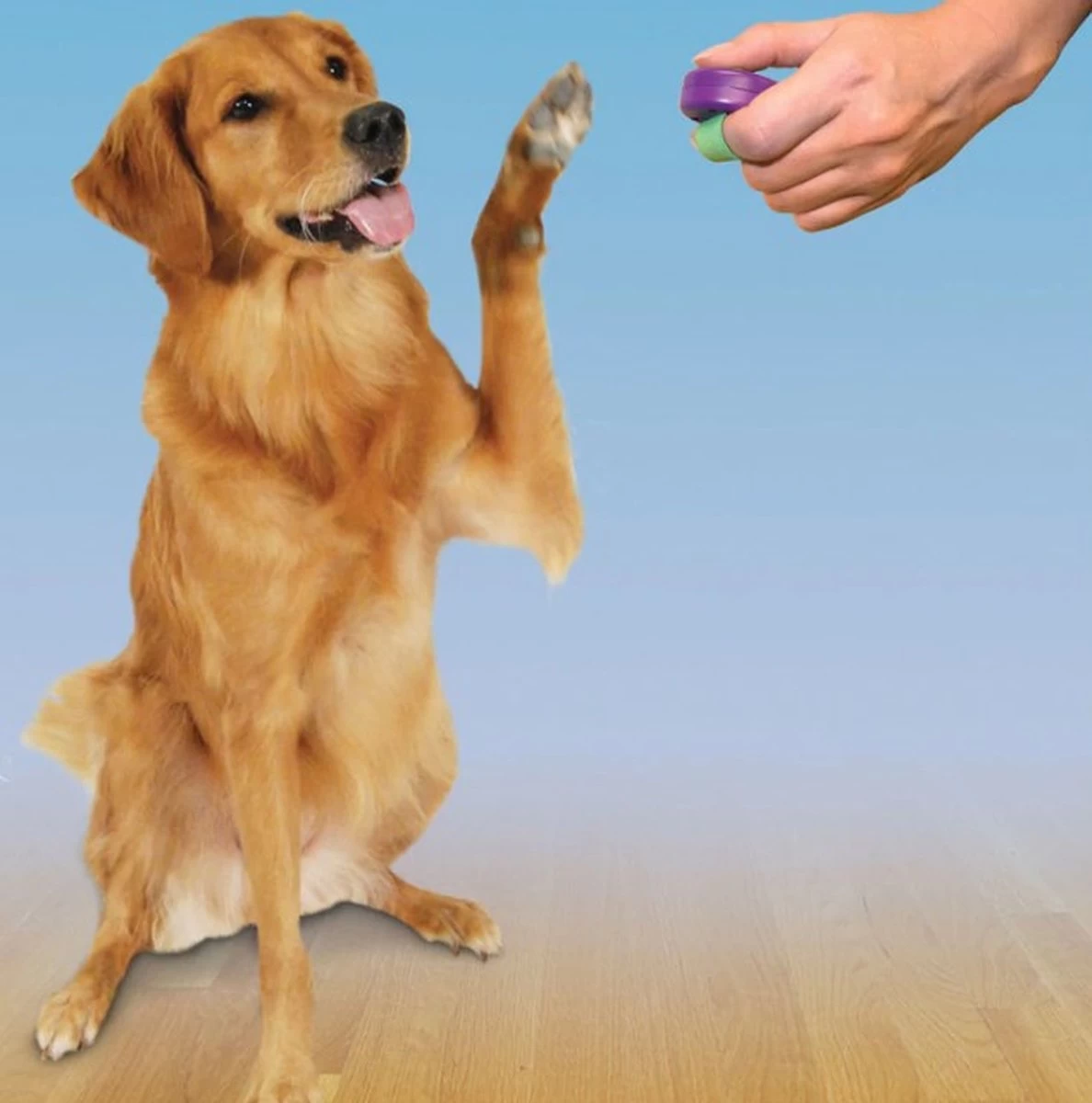 Petsafe Clicker Voor Training 2 Petsafe Clicker Voor Training - Afbeelding 2