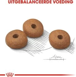 Royal Canin Mini Light 8 KG -Pet Care Verkoop 1190x1200 2