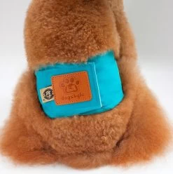 Merkloos Hondenluier Voor Kleine Hond - Luier Voor Reu - Buikband Maat S 27 Cm X 25 Cm -Pet Care Verkoop 1194x1200 5