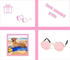 Pepets© – Hondenhanddoek – Honden Handdoek – Microvezel Handdoek – Handdoek Hond – Hondendeken – Droogdoek Hond – Dierendeken – Absorberend – 100*50CM - Beige - GRATIS Zonnebril -Pet Care Verkoop 1200x1018