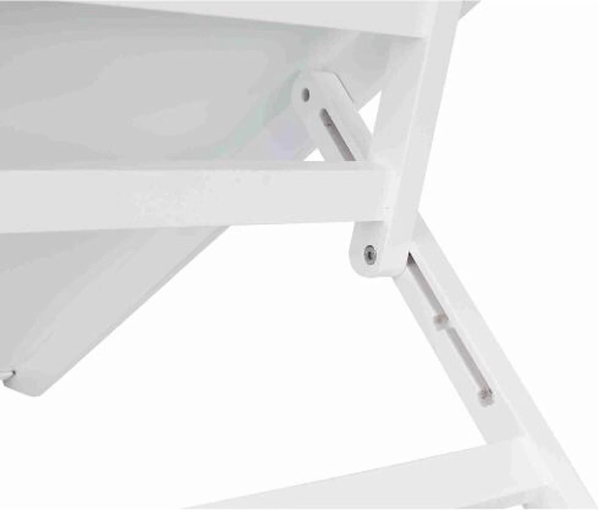 Trixie Loopplank In Hoogte Verstelbaar Wit - 36 × 90 CM 5 Trixie Loopplank In Hoogte Verstelbaar Wit - 36 × 90 CM - Afbeelding 5