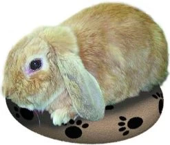 Snugglesafe Warmteschijf Hond/Kat - 24 Cm -Pet Care Verkoop 1200x1026 5