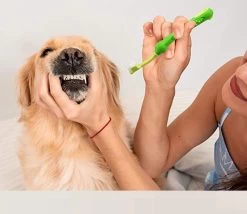 Merkloos Tandenborstel - Voor Huisdieren - Honden - 3 Zijdig - Multi-Hoek - Schoonmaken - Tanden - Slechte Adem - Tandsteen - Tandenborstel - Gezondheid - Blauw -Pet Care Verkoop 1200x1042 3