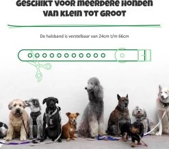 Anti Blafband Met Afstandsbediening - Blafband Voor Honden - Anti Blaf Apparaat Zonder Schok - Twee In Een Trainingshalsband -Pet Care Verkoop 1200x1055