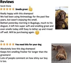 Bugalugs - Hondenshampoo - One In A Million - Alle Vachttypes - Fles Met Pompje - Vegan - 500 Ml -Pet Care Verkoop 1200x1061 1