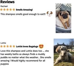 Bugalugs - Hondenshampoo - One In A Million - Alle Vachttypes - Fles Met Pompje - Vegan - 500 Ml -Pet Care Verkoop 1200x1066