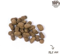 VITALstyle ADULT - Hondenbrokken - 12 Kg 12 VITALstyle ADULT - Hondenbrokken - 12 Kg -Pet Care Verkoop 1200x1067 3