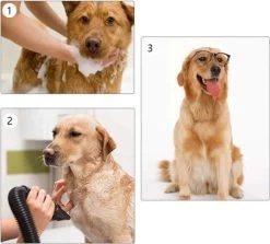 Waterblazer Hond - Hondendroger -Pet Care Verkoop 1200x1083