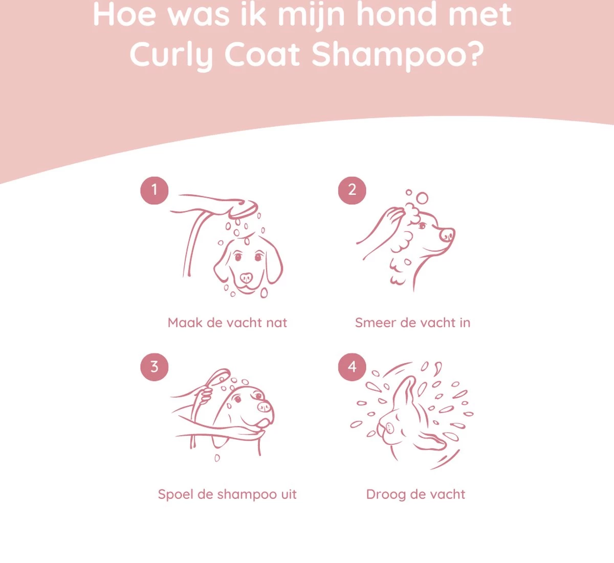 Greenfields - Hondenshampoo Voor Krullende Vacht - Extra Volume En Goede Doorkambaarheid - 270 Ml - Hondenshampoo Krullende Vacht 2 Greenfields - Hondenshampoo Voor Krullende Vacht - Extra Volume En Goede Doorkambaarheid - 270 Ml - Hondenshampoo Krullende Vacht - Afbeelding 2