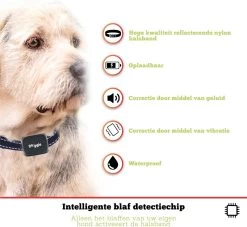 Doggie™ Anti Blafband Voor Kleine Honden - OPLAADBAAR - Vibratie én Geluid -Pet Care Verkoop 1200x1104