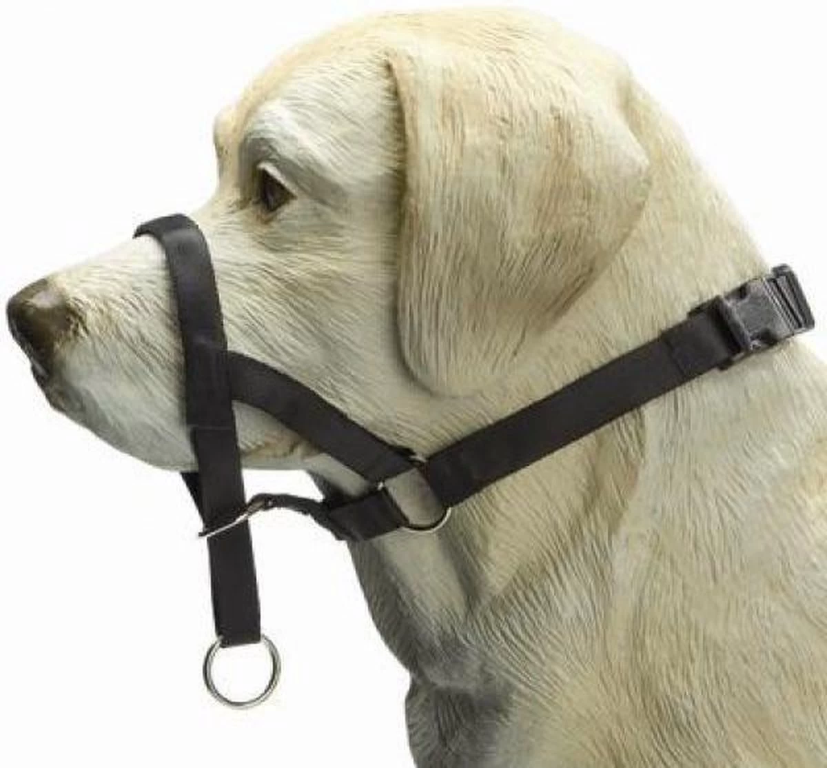 Beeztees Dog Control - Halsband Hond - Zwart - M-Speciaal 2 Beeztees Dog Control - Halsband Hond - Zwart - M-Speciaal - Afbeelding 2