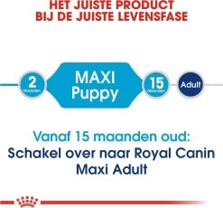 Royal Canin Maxi Puppy 4 KG -Pet Care Verkoop 1200x1116 3