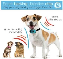 Merkloos Anti Blafband Voor Honden Blafband Anti Blaf Apparaat Blafband Zonder Schok - Diervriendelijk 11 Merkloos Anti Blafband Voor Honden Blafband Anti Blaf Apparaat Blafband Zonder Schok - Diervriendelijk -Pet Care Verkoop 1200x1133 3