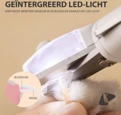 PETKIT® Professionele Dieren Nagelknipper - Nagelknipper Hond - Met LED - Met Vijl - Nageltang -Pet Care Verkoop 1200x1143 1