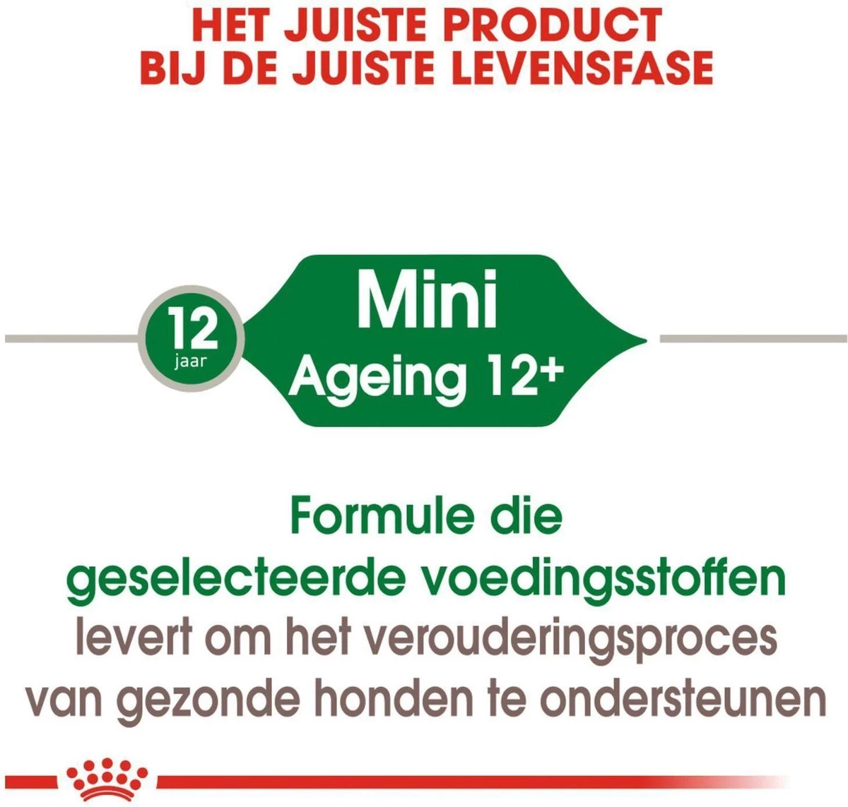 Royal Canin Shn Mini Ageing 12plus Pouch - Hondenvoer - 12x85 G 6 Royal Canin Shn Mini Ageing 12plus Pouch - Hondenvoer - 12x85 G - Afbeelding 6