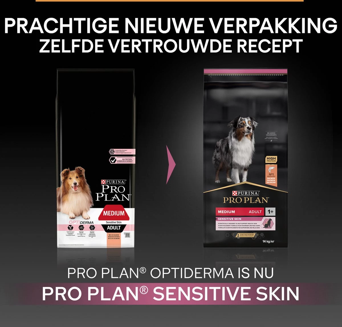 Pro Plan Medium Adult Sensitive Skin - Honden Droogvoer - Zalm - 14 Kg 5 Pro Plan Medium Adult Sensitive Skin - Honden Droogvoer - Zalm - 14 Kg - Afbeelding 5