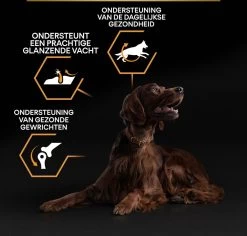 Pro Plan Everyday Nutrition Large Athletic Adult - Honden Droogvoer - Kip - 14 Kg -Pet Care Verkoop 1200x1146 12