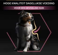 Pro Plan Medium Adult Sensitive Skin - Honden Droogvoer - Zalm - 14 Kg 27 Pro Plan Medium Adult Sensitive Skin - Honden Droogvoer - Zalm - 14 Kg -Pet Care Verkoop 1200x1146 9