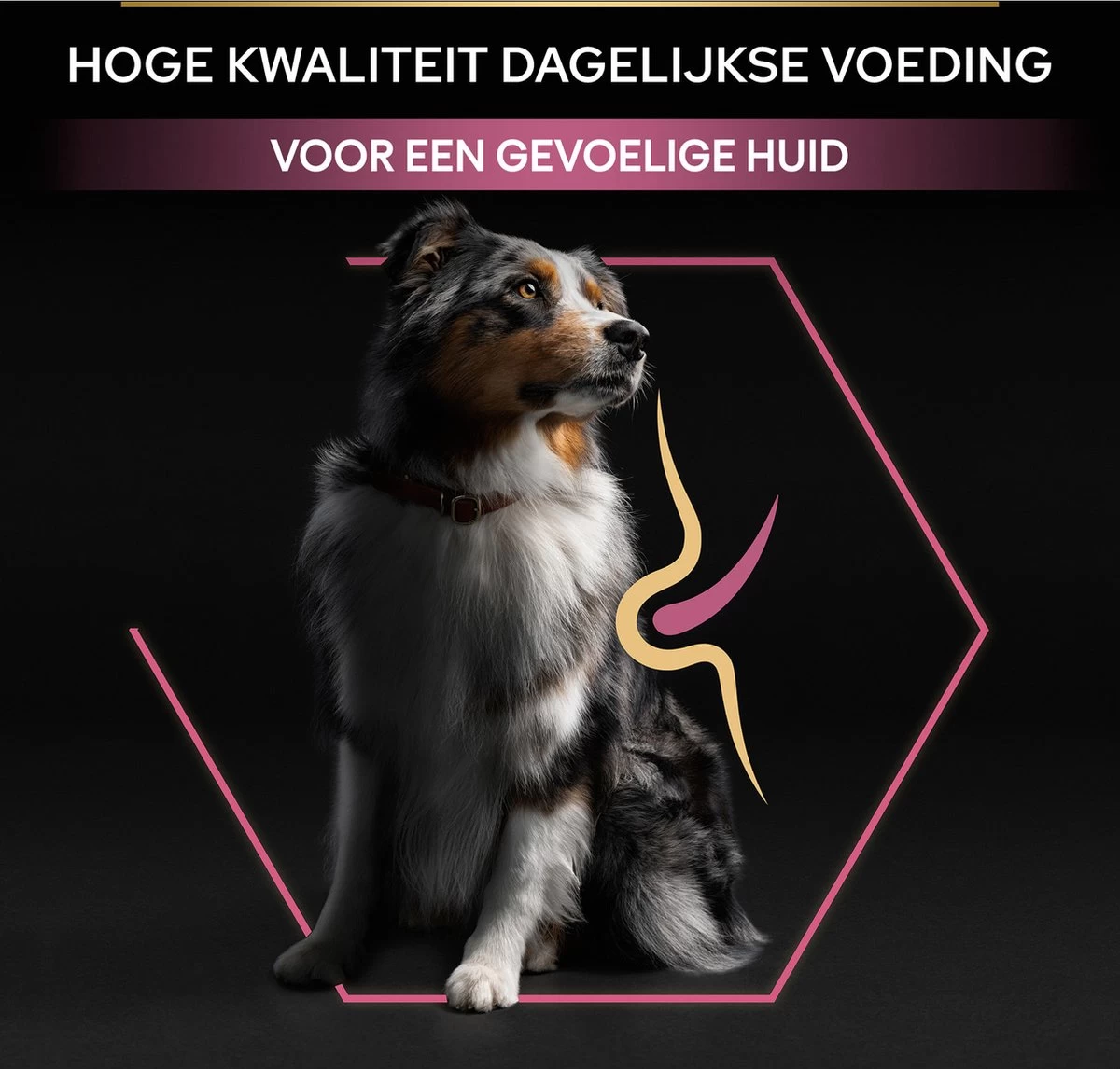 Pro Plan Medium Adult Sensitive Skin - Honden Droogvoer - Zalm - 14 Kg 12 Pro Plan Medium Adult Sensitive Skin - Honden Droogvoer - Zalm - 14 Kg - Afbeelding 12