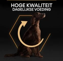 Pro Plan Everyday Nutrition Large Athletic Adult - Honden Droogvoer - Kip - 14 Kg -Pet Care Verkoop 1200x1147 6