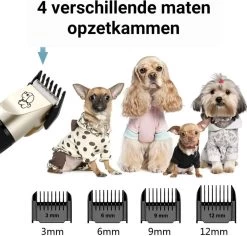 Merkloos Professionele Dierentondeuse - Scheerapparaat Voor Honden En Katten - Trimmer - 4 Opzetstukken - Oplaadbaar - Draadloos - Stil - Verschillende Haar En Vachtlengtes - Haartrimmer - Hondentrimmer - Honden Trimmer - Honden Knippen - Haren Knippen -Pet Care Verkoop 1200x1148