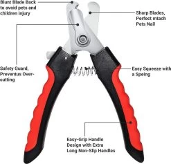 Merkloos Professionele Nagelschaar - Dieren Nagelschaar - Rood & Zwart - Honden Nagelknipper - Hondennagels - Honden Knip Schaar - Honden Knipsch 9 Merkloos Professionele Nagelschaar - Dieren Nagelschaar - Rood & Zwart - Honden Nagelknipper - Hondennagels - Honden Knip Schaar - Honden Knipsch -Pet Care Verkoop 1200x1153 1