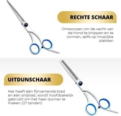 BeautyFit - 16-delig Hondentondeuse Set - Professionele Honden Trimset - Dieren Tondeuse Voor Dikke Vacht - Meest Complete Set - Inclusief 4 Opzetkammen - Hondenschaar - Mist Verstuiver - Handschoen Borstel - Nagelknipper -Pet Care Verkoop 1200x1157 3