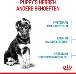 Royal Canin Maxi Puppy 4 KG -Pet Care Verkoop 1200x1158 3