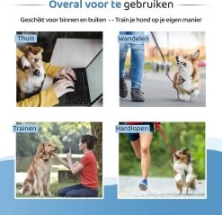 Diervriendelijke Ultrasone Anti- Blaf Apparaat 2023 + Batterijen - Extra Snel Van Blaffen Af - Anti Blafband – Honden Training Blaffen – Hondentrainer -Pet Care Verkoop 1200x1159 10